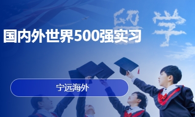 国内外世界500强实习